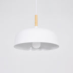 Acorn Pendant Light