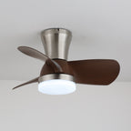 Aero Echo Ceiling Fan Light
