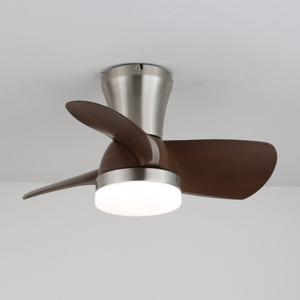 Aero Echo Ceiling Fan Light