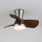Aero Echo Ceiling Fan Light