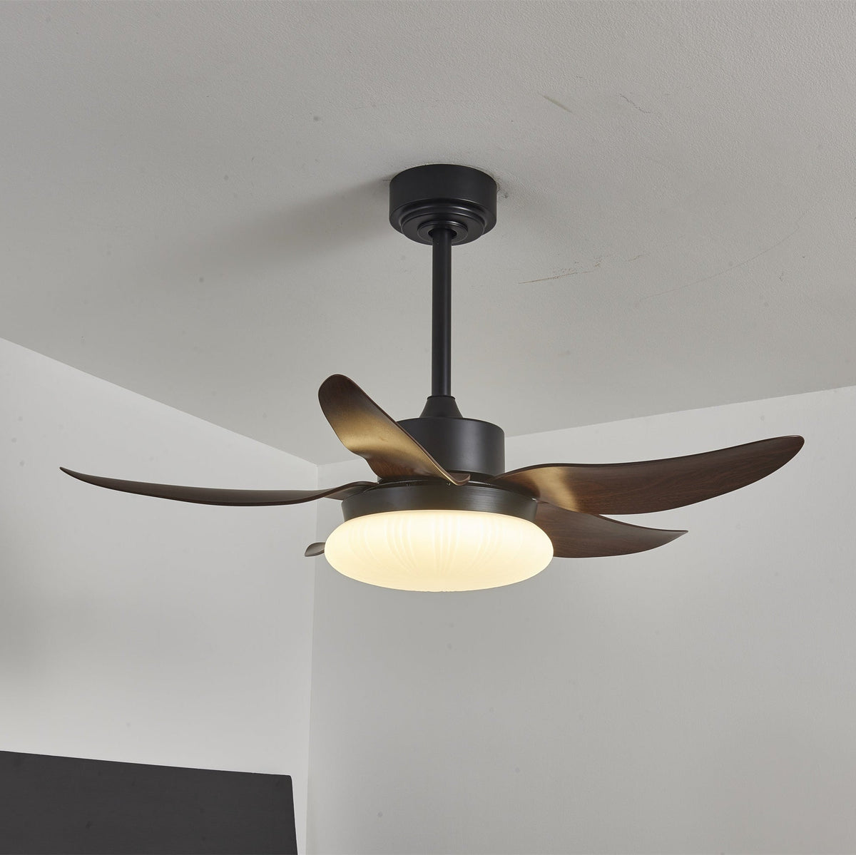 Aero Palm Ceiling Fan Light