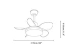 Aeroglow LED Ceiling Fan Light