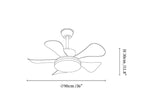 Aeroglow LED Ceiling Fan Light