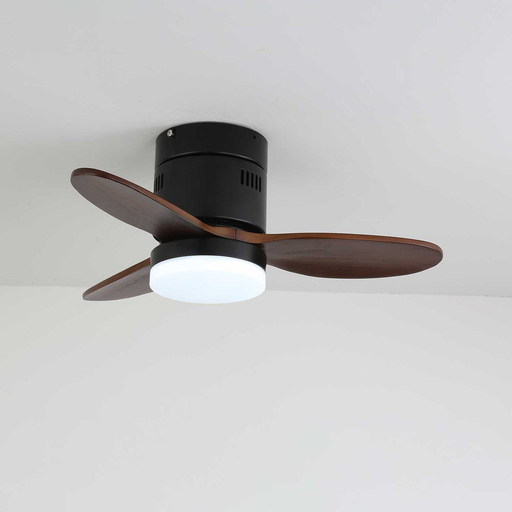 Aeroluxe Modern Ceiling Fan Light