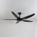 Aeron Noir Ceiling Fan