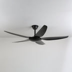 Aeron Noir Ceiling Fan