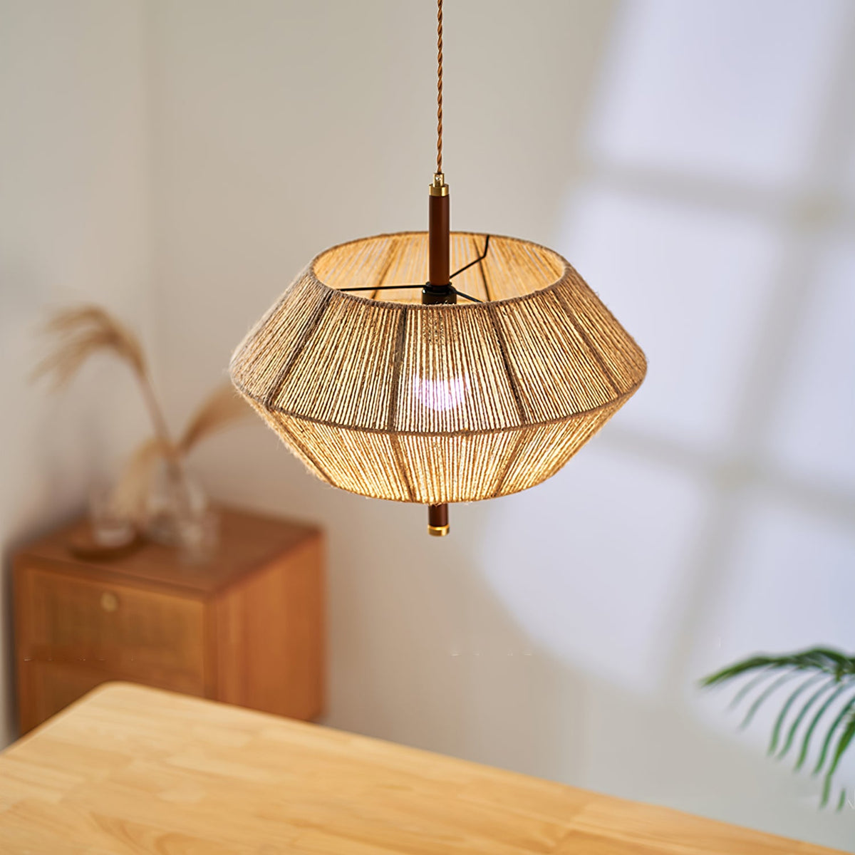 Aluna Corded Pendant Light