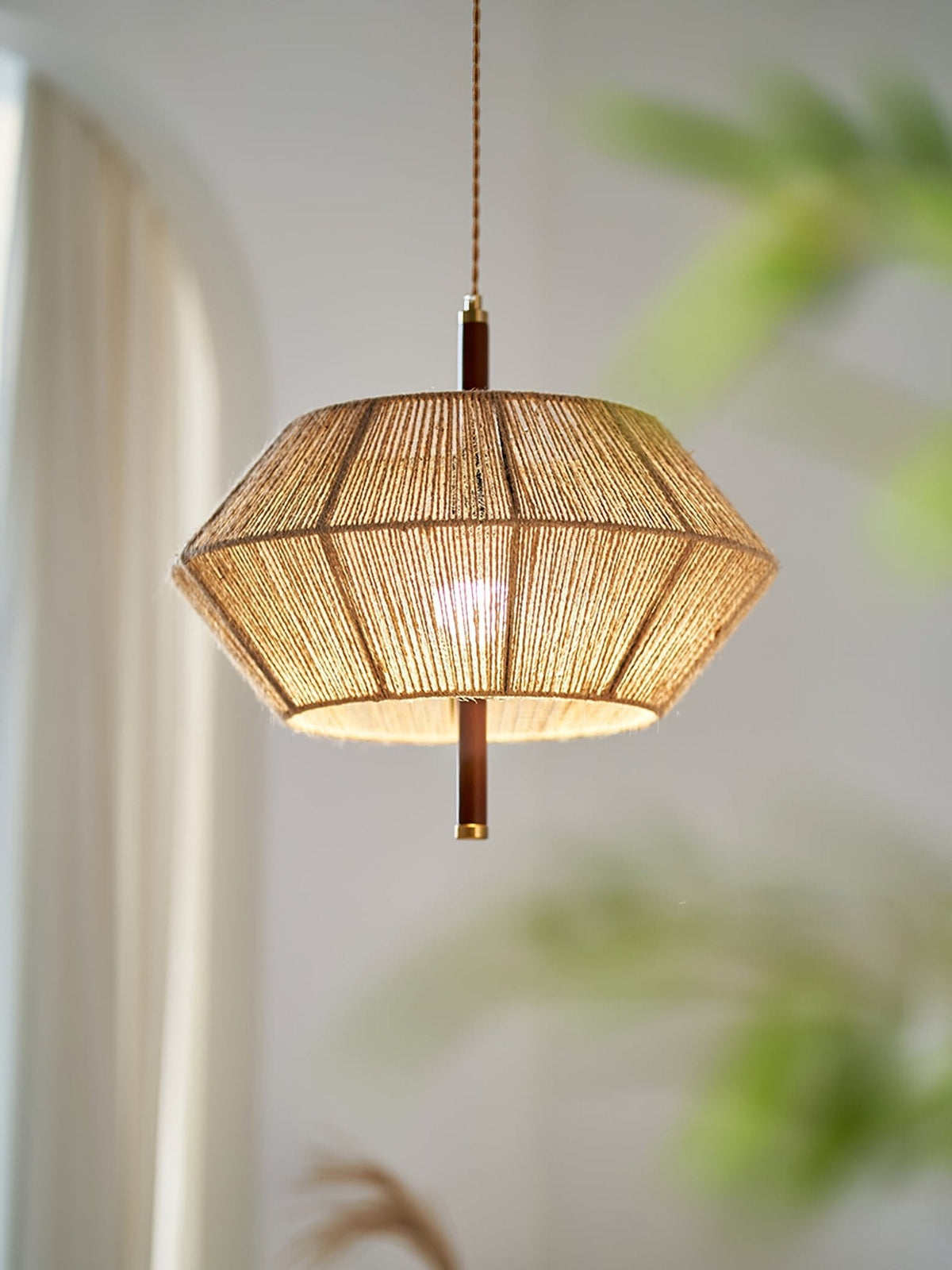 Aluna Corded Pendant Light