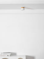 Alva Wooden Surface Downlight