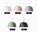 Ambit Pendant Light