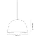 Ambit Pendant Light