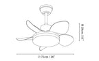 Amelia Ceiling Fan Light