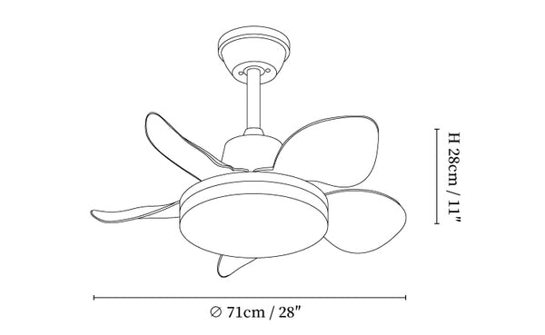 Amelia Ceiling Fan Light