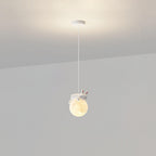 Animal Sleeping Pendant Lamp
