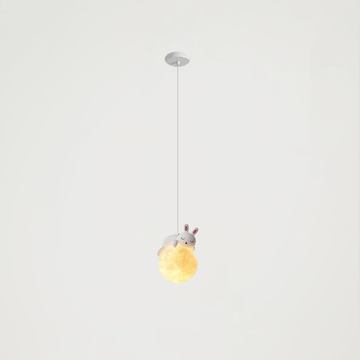Animal Sleeping Pendant Lamp