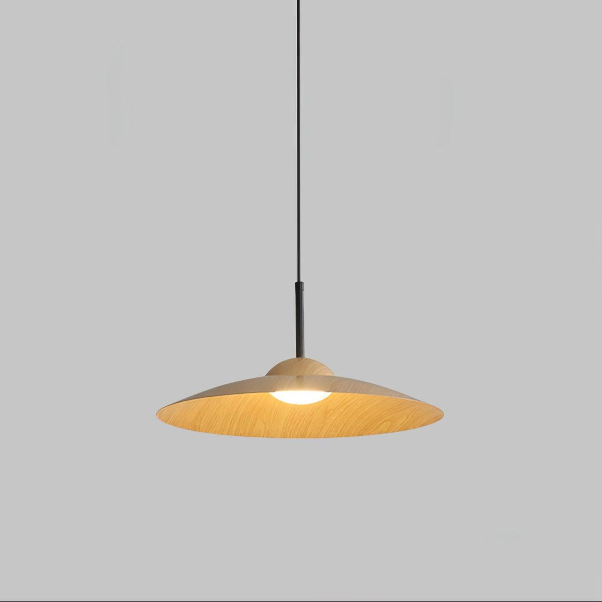 Arcadian Pendant Light