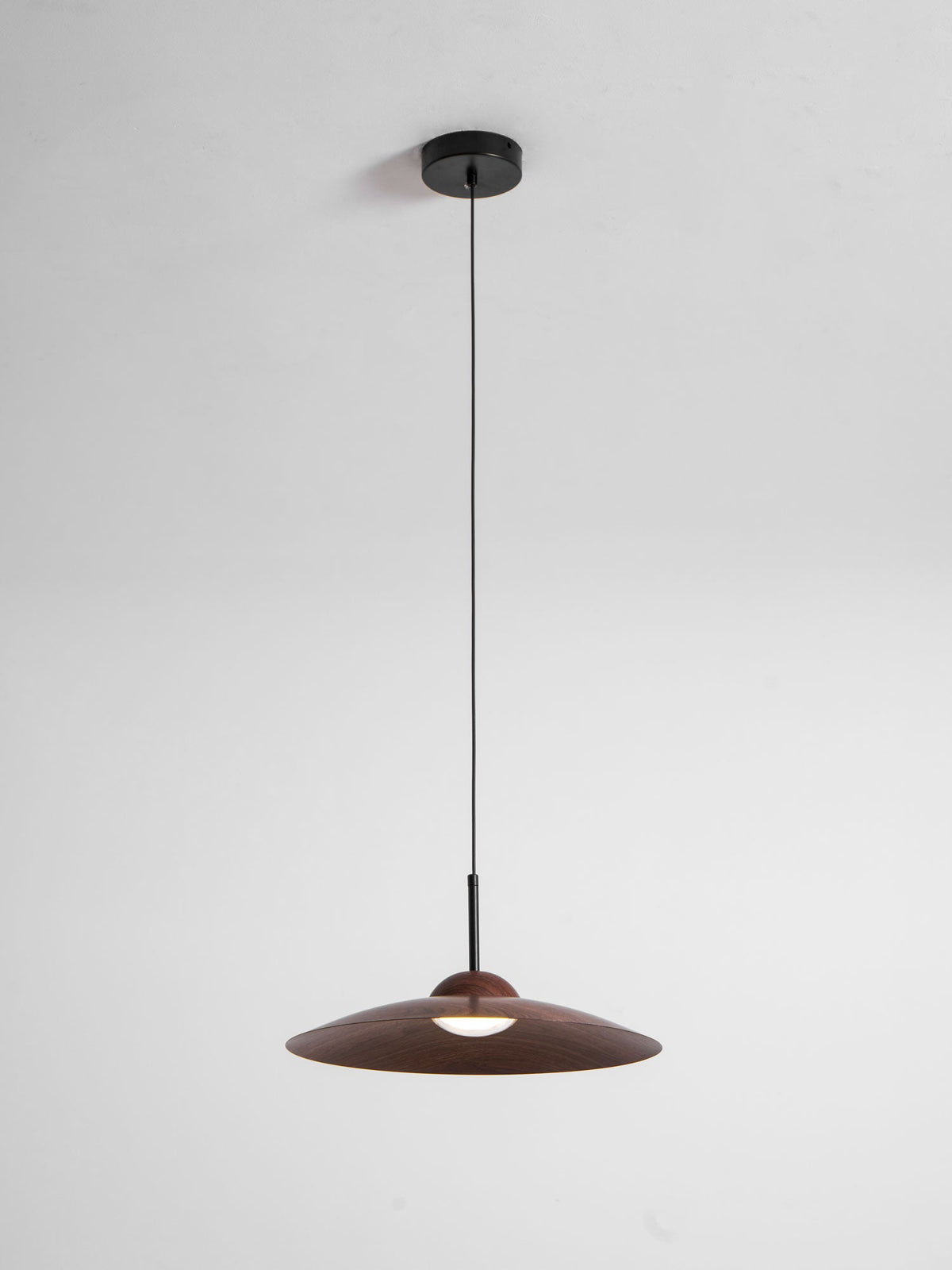 Arcadian Pendant Light