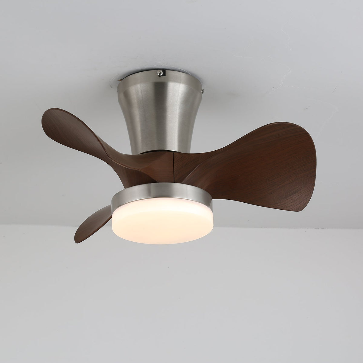 Arvento Ceiling Fan Light