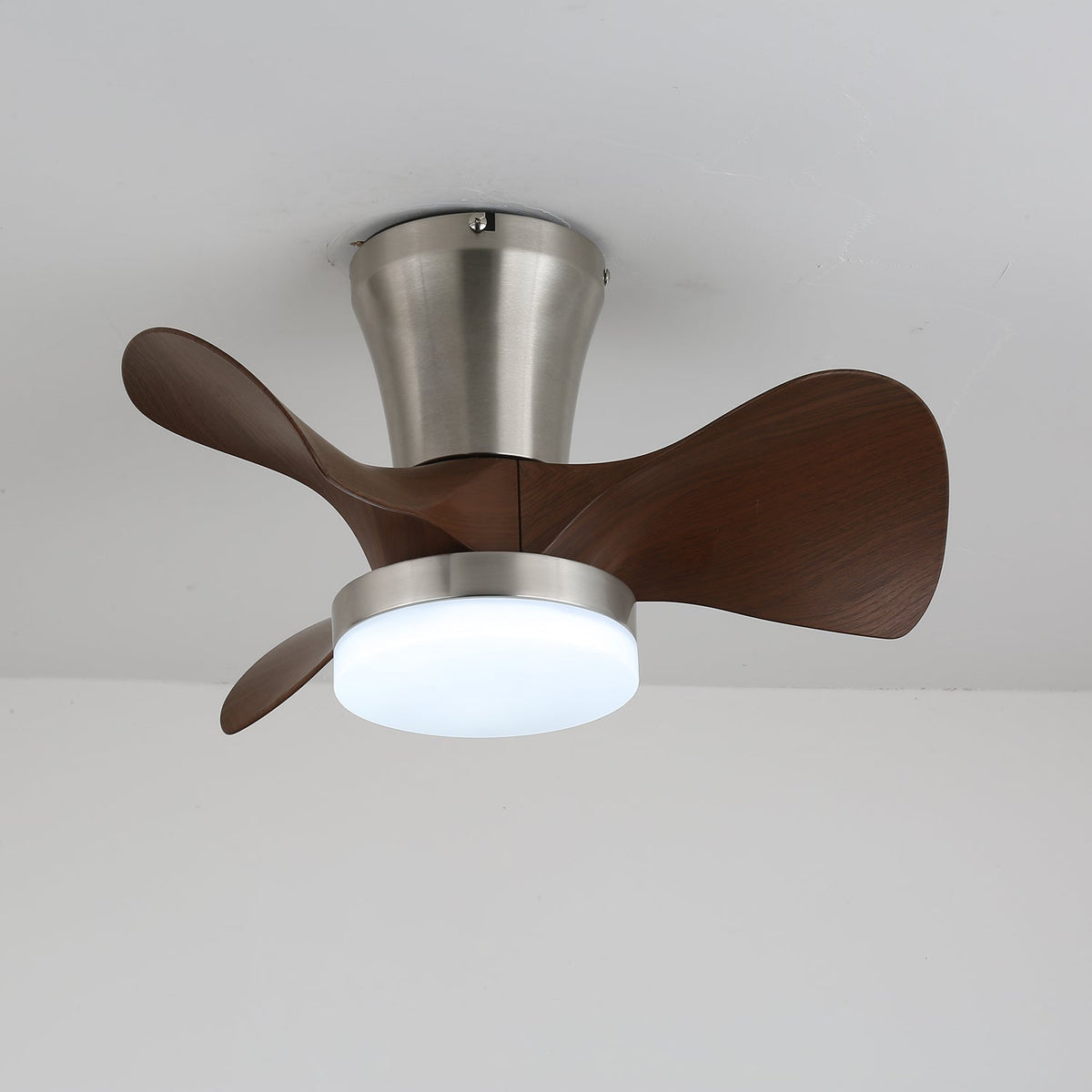 Arvento Ceiling Fan Light