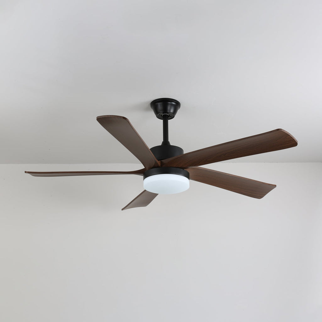 Auralin Breeze Ceiling Fan Light