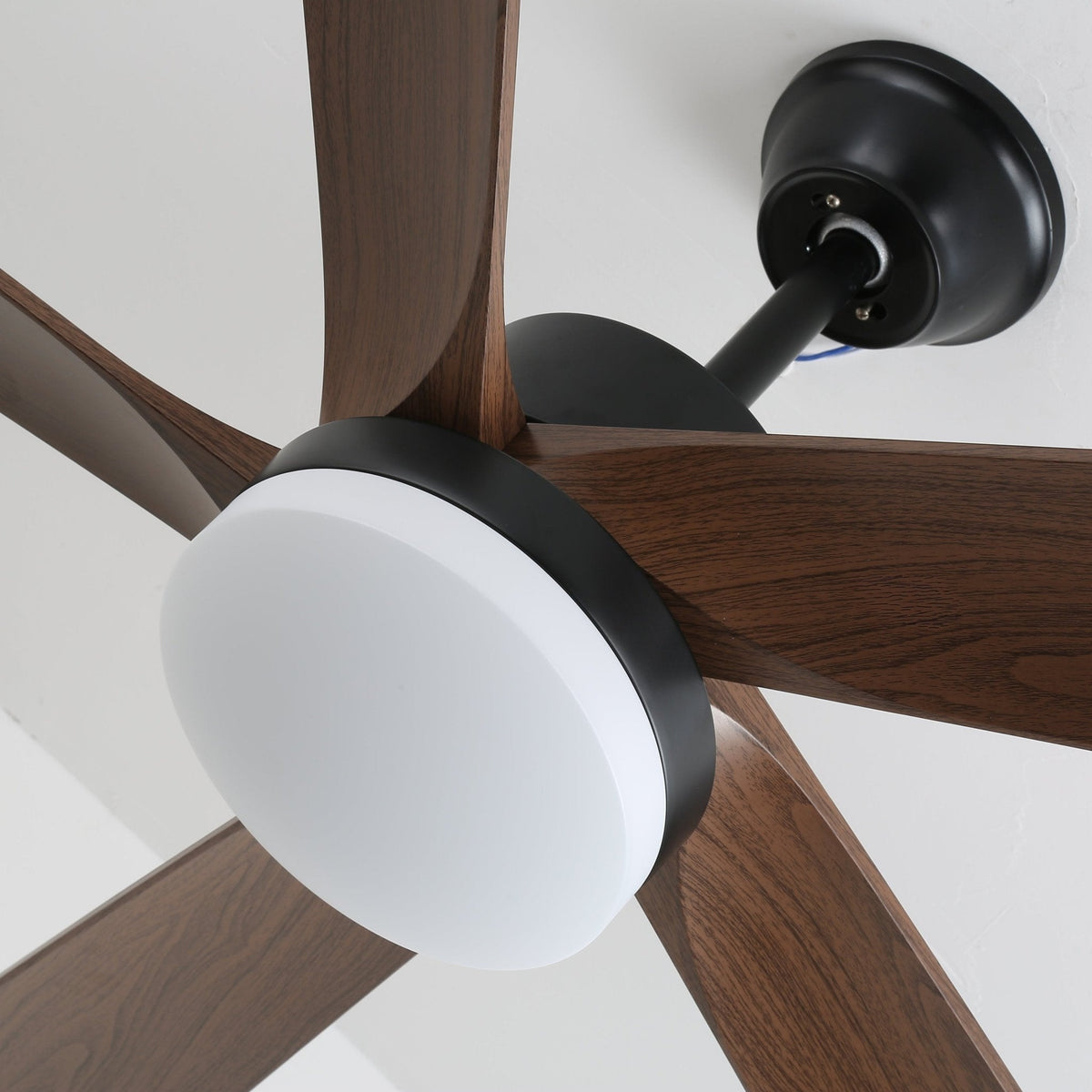Auralin Breeze Ceiling Fan Light