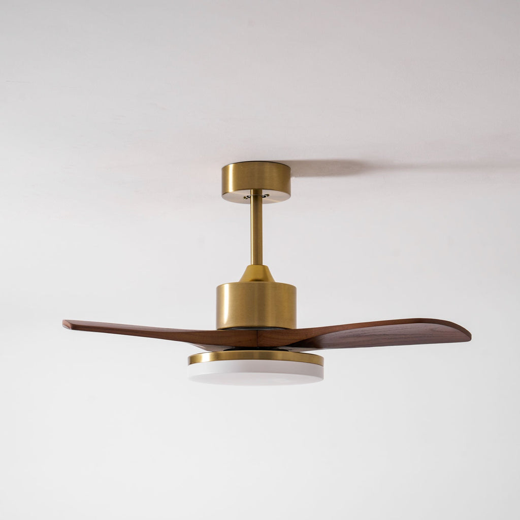 Aurevo Ceiling Fan Light