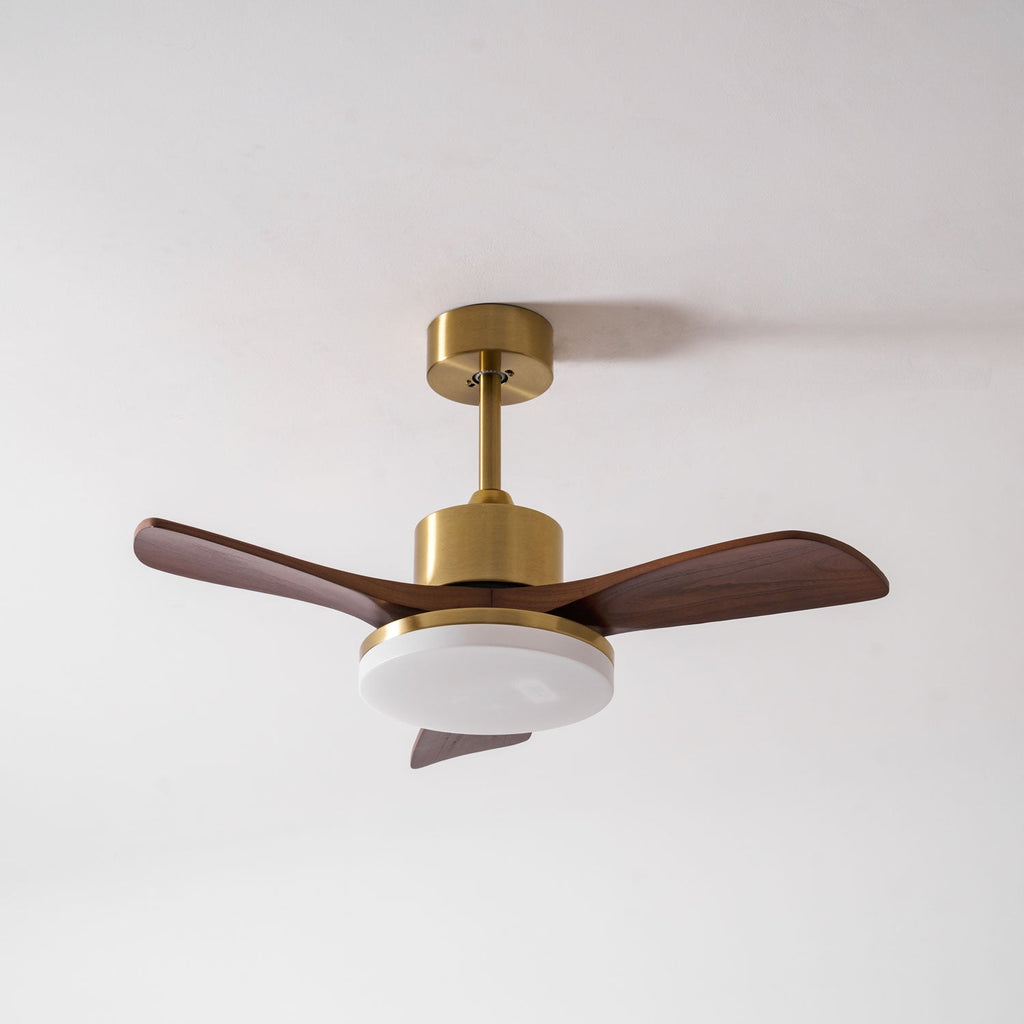 Aurevo Ceiling Fan Light