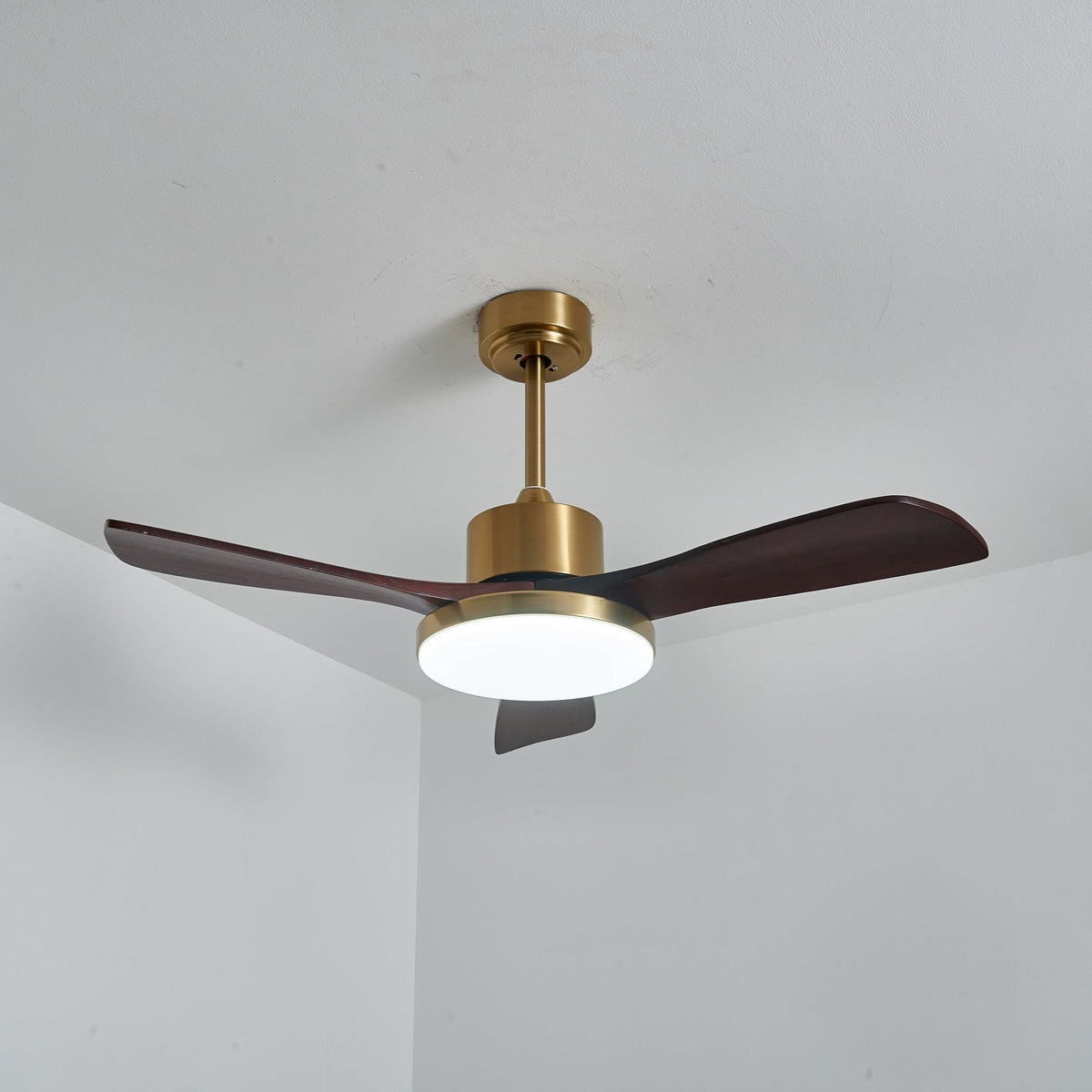 Aurevo Ceiling Fan Light
