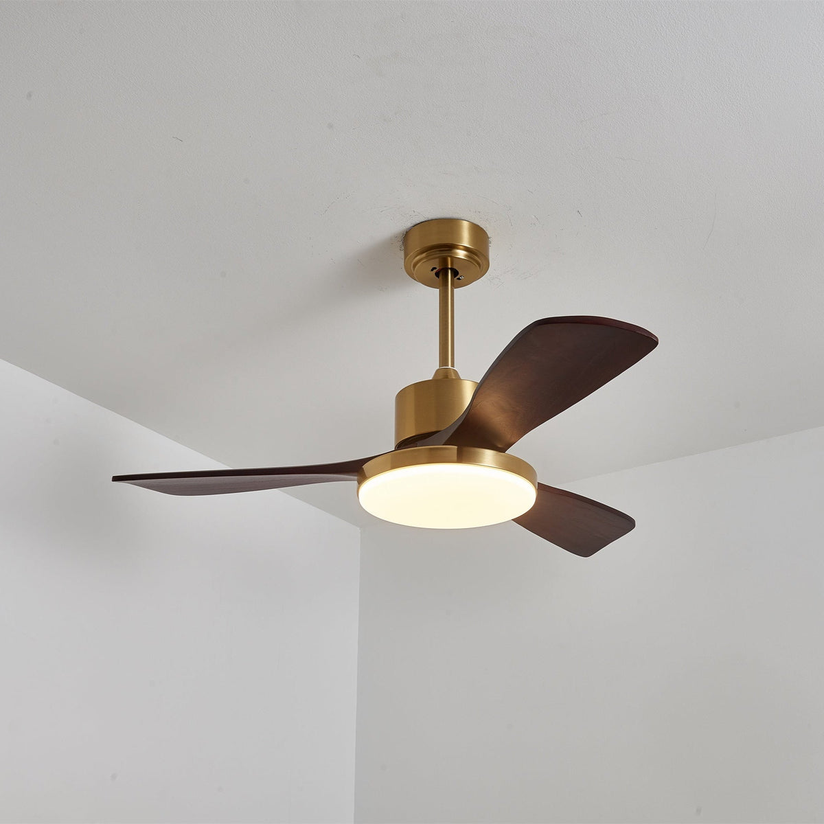 Aurevo Ceiling Fan Light