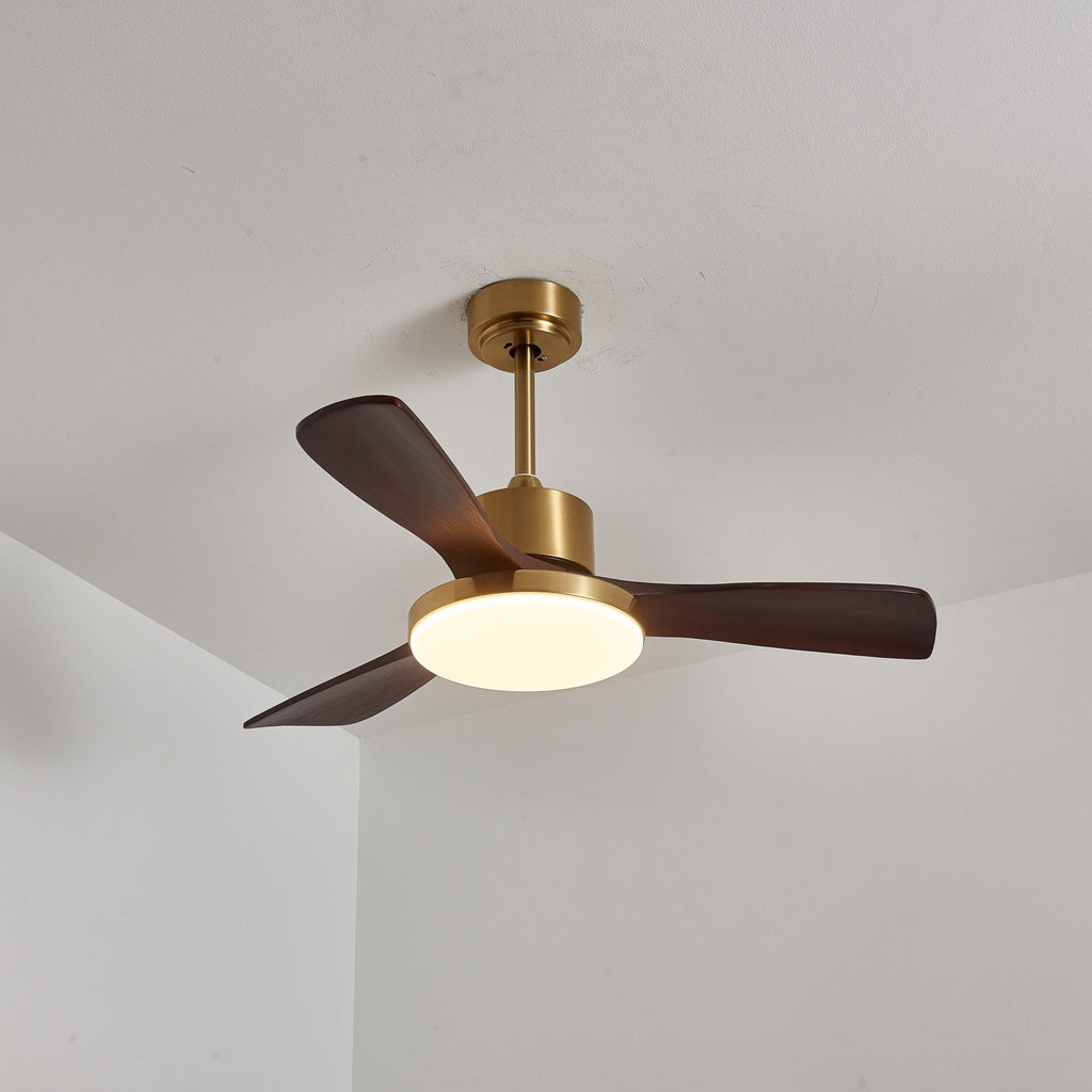 Aurevo Ceiling Fan Light
