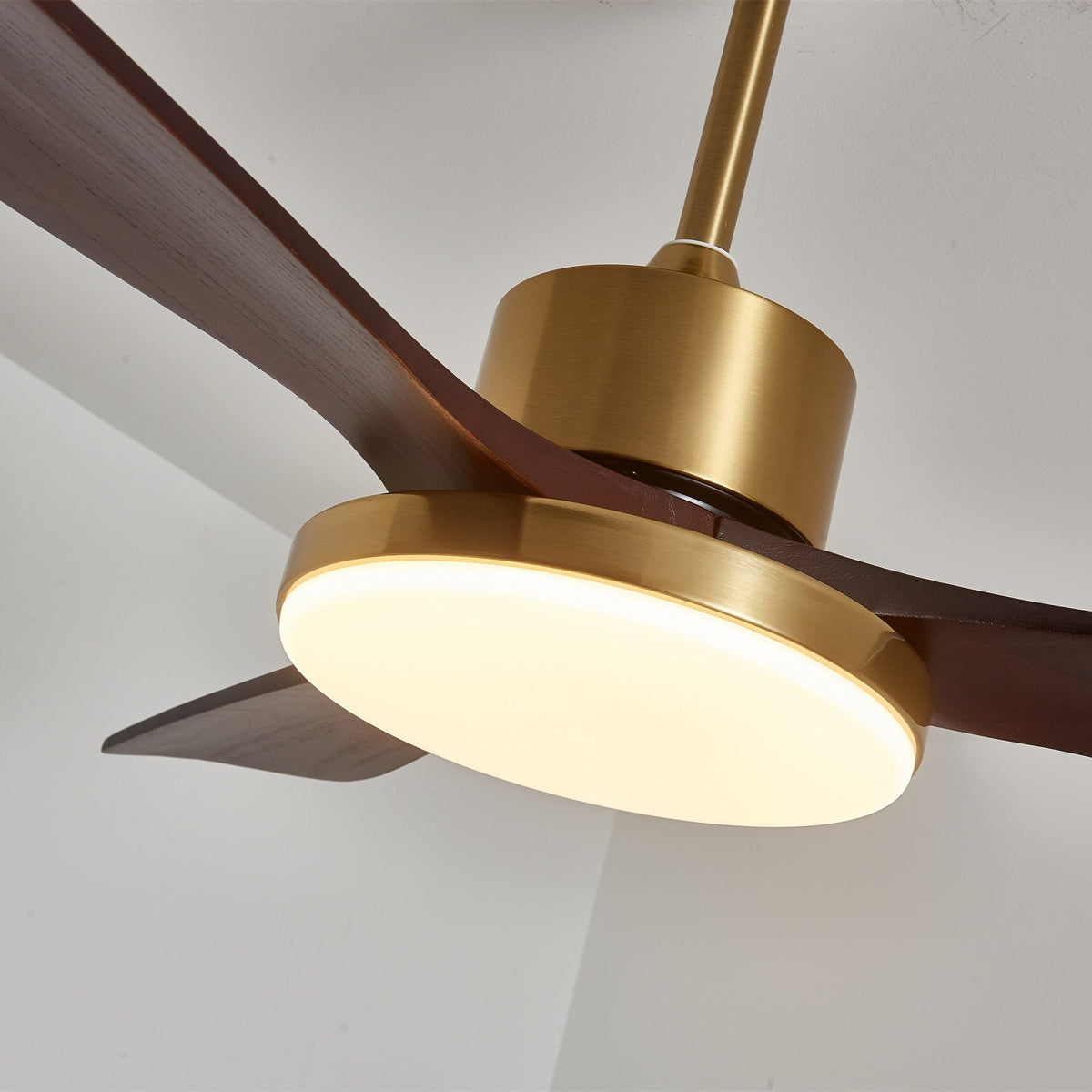 Aurevo Ceiling Fan Light