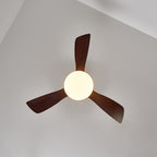 Aurevo Ceiling Fan Light