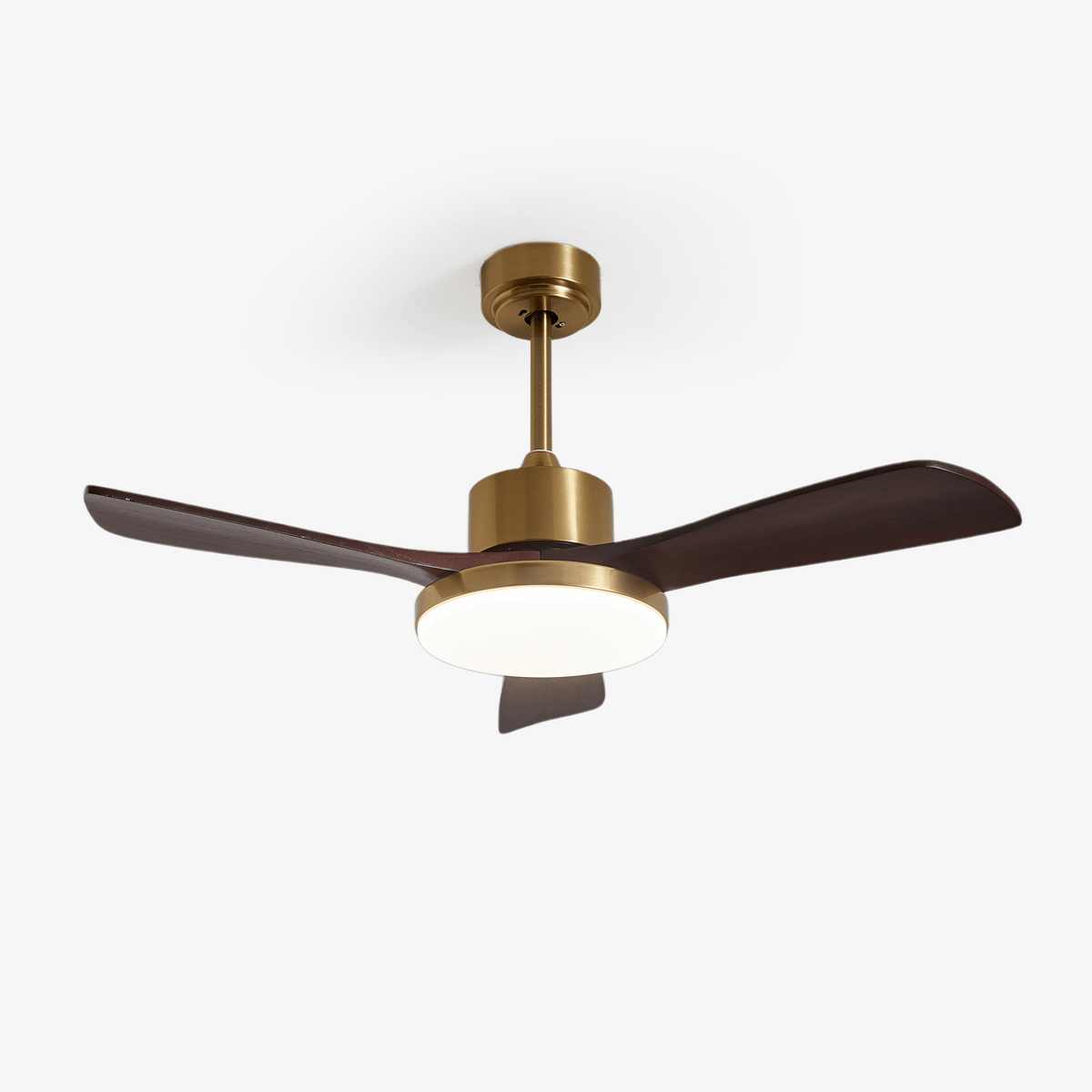 Aurevo Ceiling Fan Light