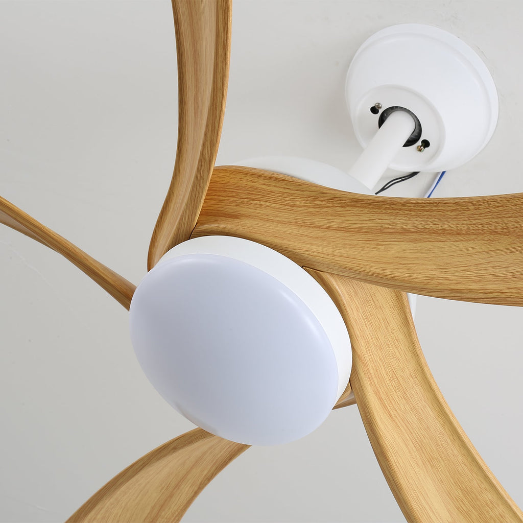 Avenli Ceiling Fan Light