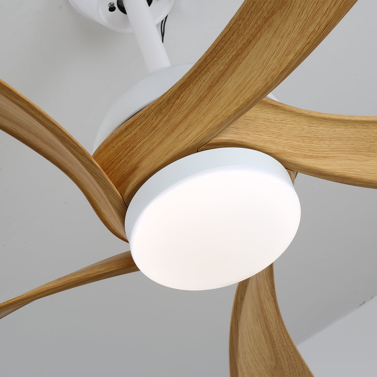 Avenli Ceiling Fan Light
