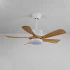 Avenli Ceiling Fan Light