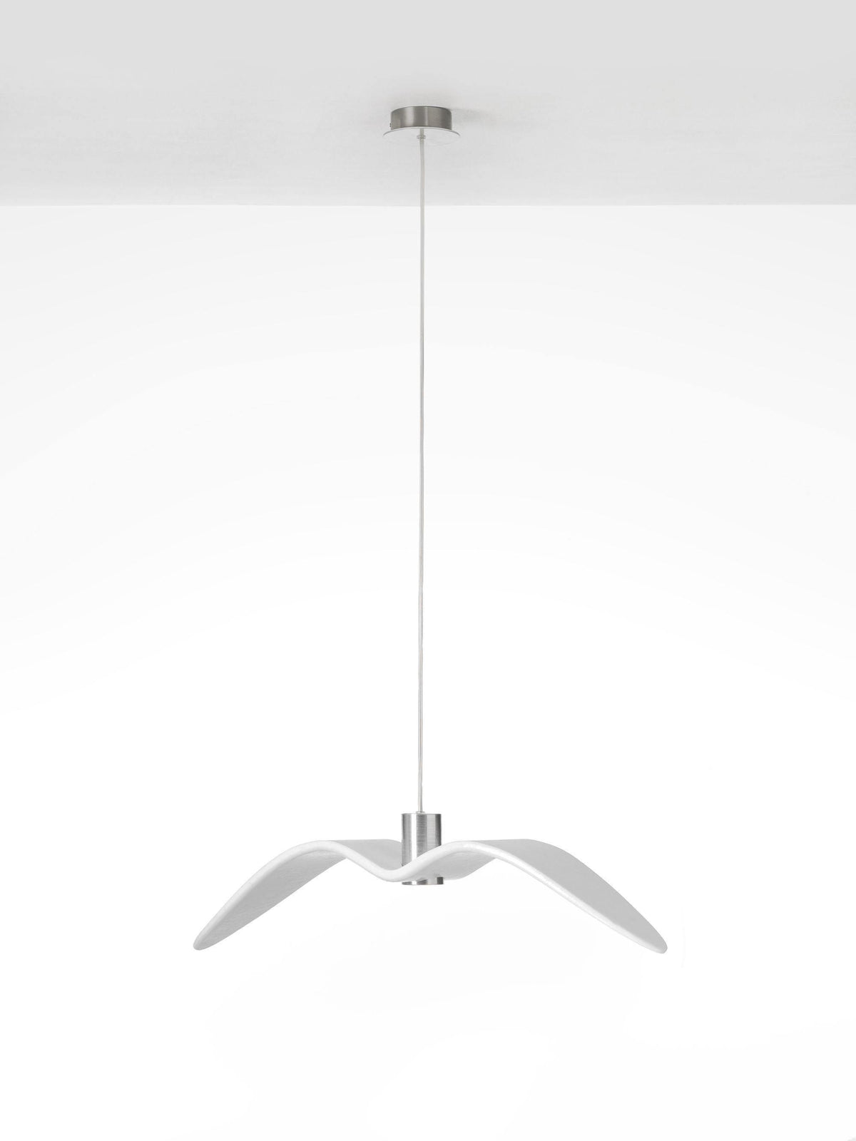 Night Birds Series Lamp