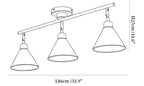 Axiom Directional Ceiling Lamp