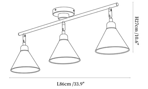 Axiom Directional Ceiling Lamp