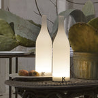 Bacco Built - in Battery Table Lamp