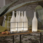Bacco Built - in Battery Table Lamp
