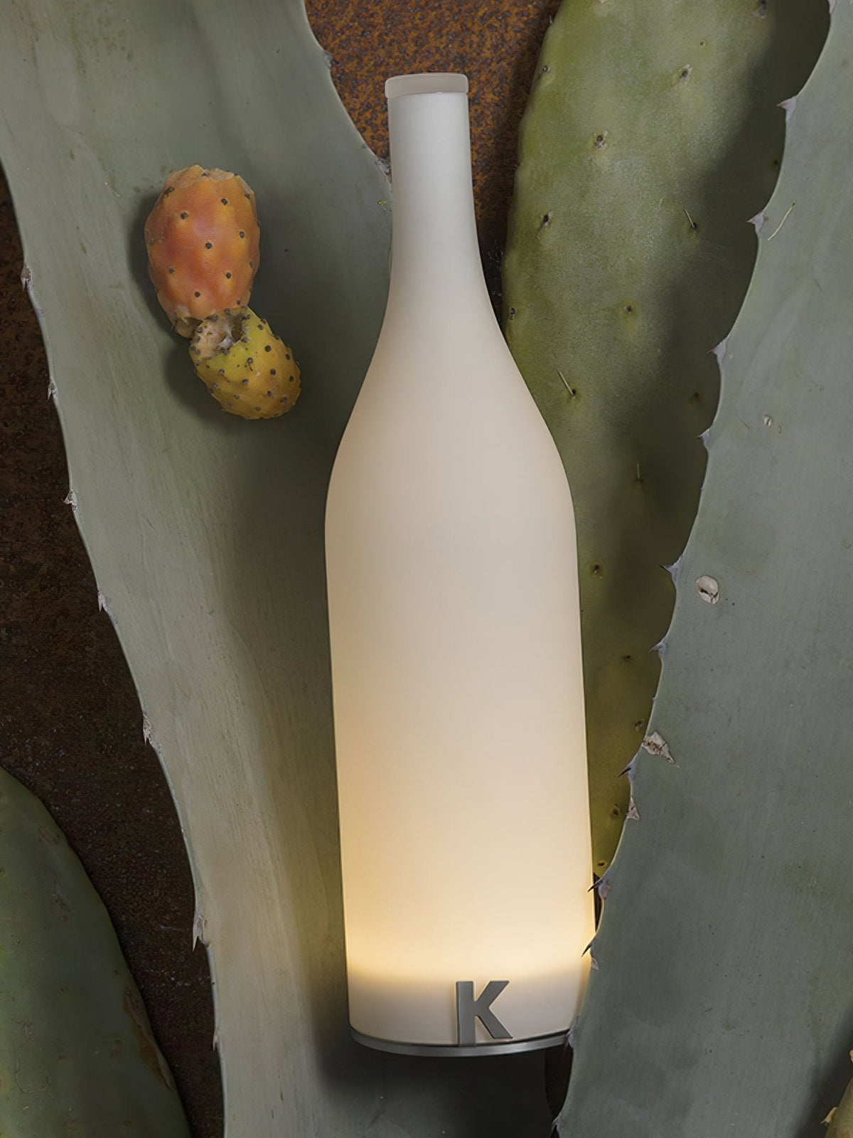 Bacco Built - in Battery Table Lamp