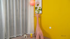 Balloon Dream Ceiling Light