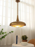 Calyx Pendant Light