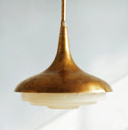 Calyx Pendant Light
