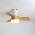 Brisa Ceiling Fan Light