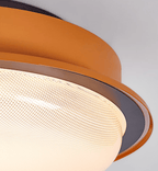 Caelan Ceiling Light