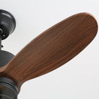 Caldor Industrial Ceiling Fan Light