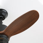 Caldor Industrial Ceiling Fan Light