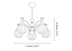 Callidora Chandelier